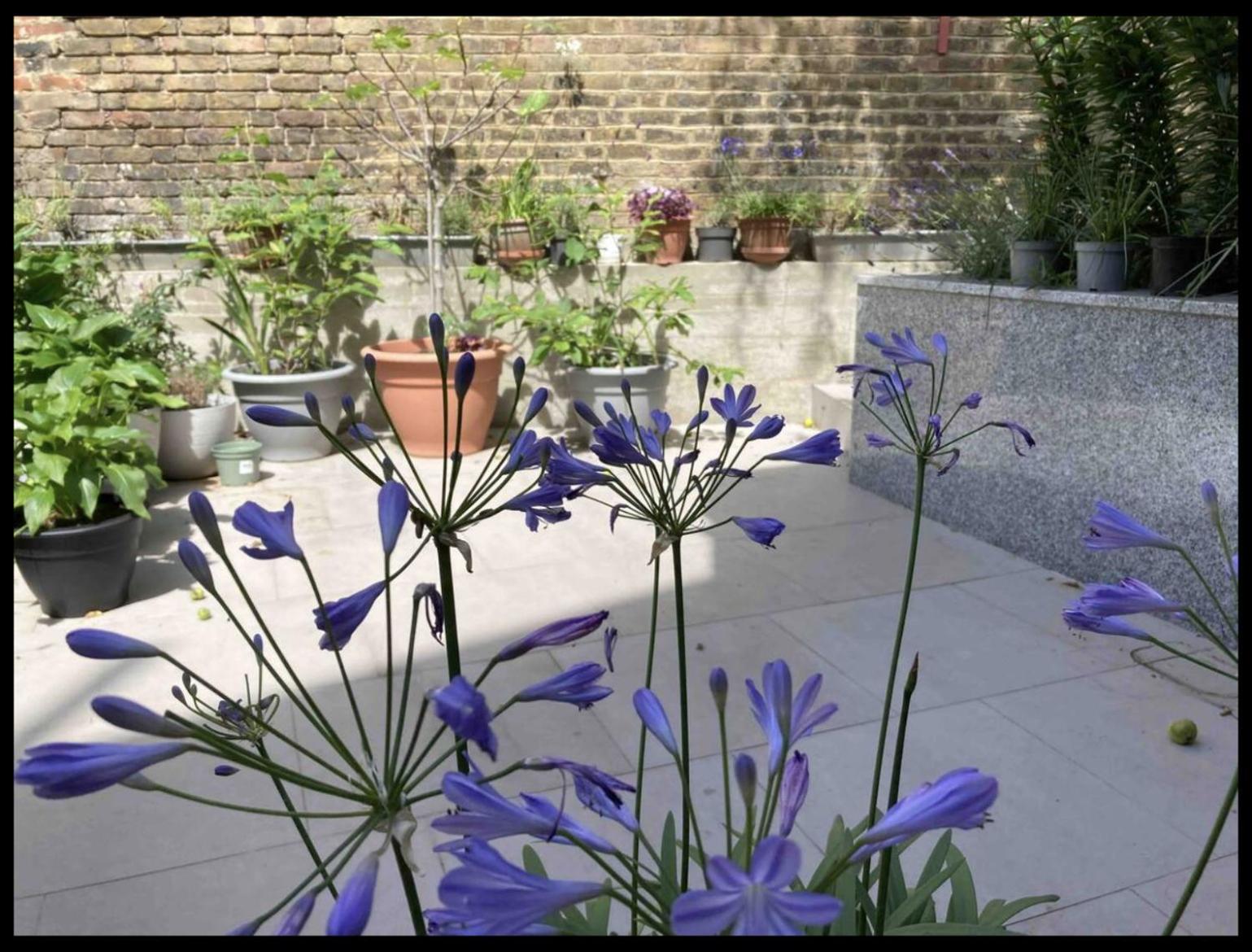 Fabulous Spacious Stylish Private In Nw6 With Excellent Transport Links To Centre, Hosted By Female Currently Taking Bookings For Females & Couples Only, Suitable For Holidays, Study, Work, Courses Or Inbetween * Londres