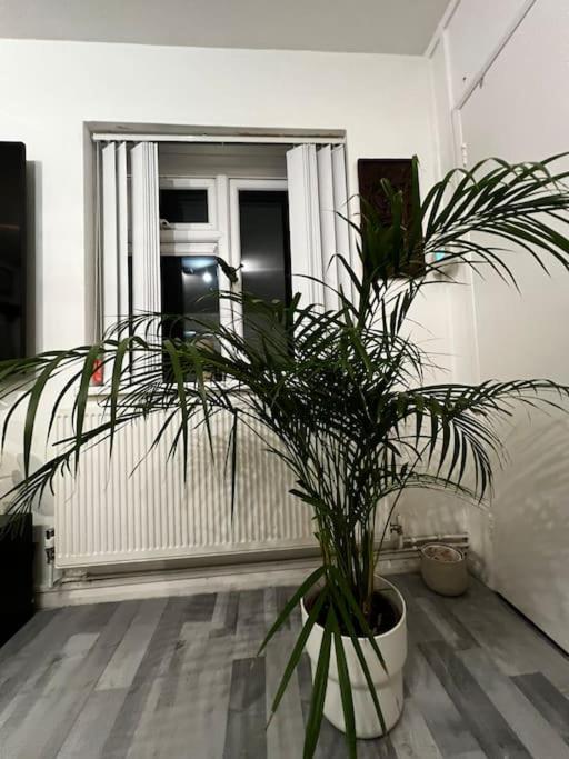 Apartamento 1-bed Flat With Fast Wi-fi In Prime Location 15mins From Londres