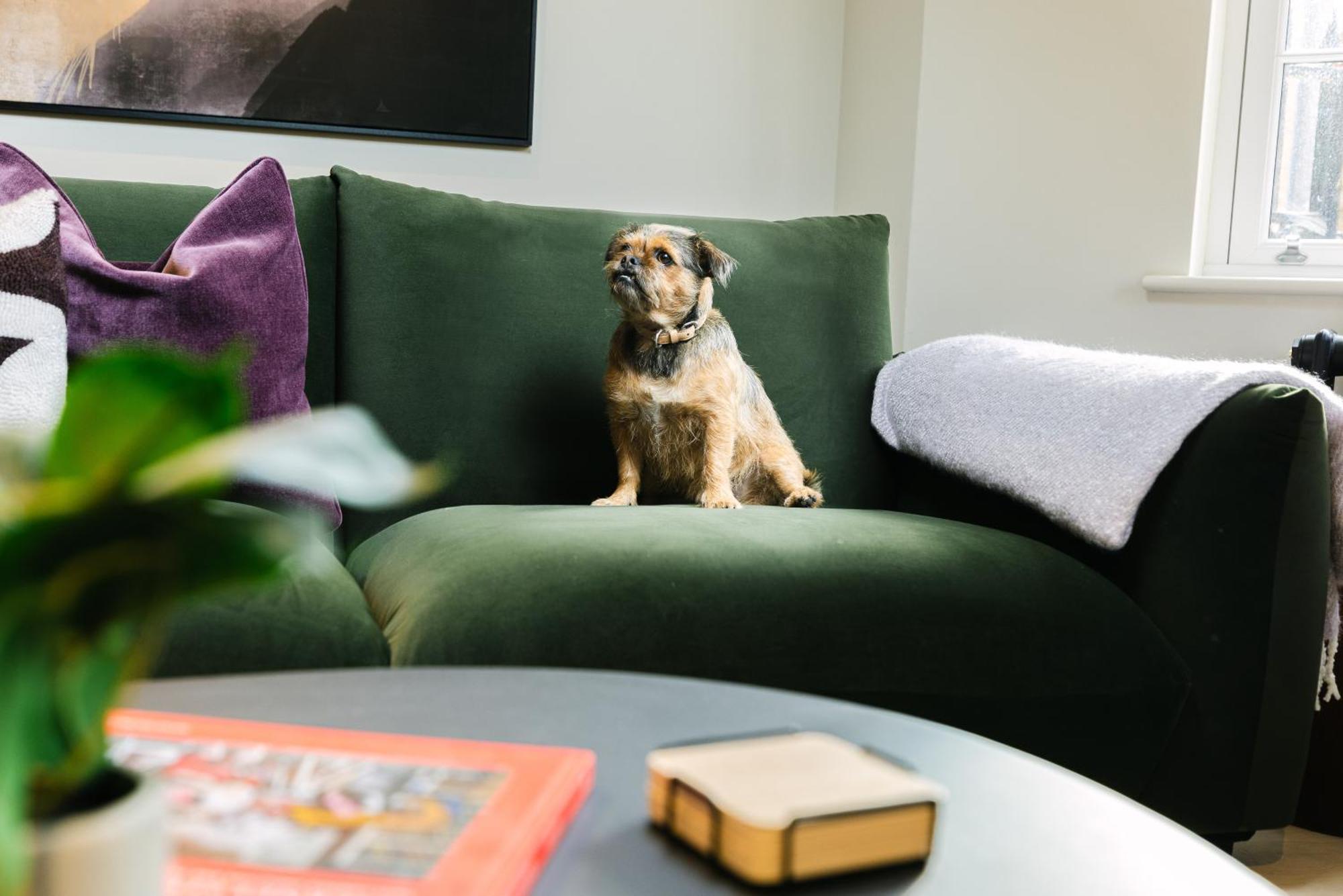 Apartment Urban Rest Hackney London