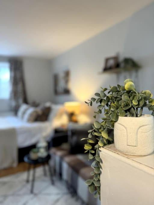 Charming Garden Hideaway! Apartamento