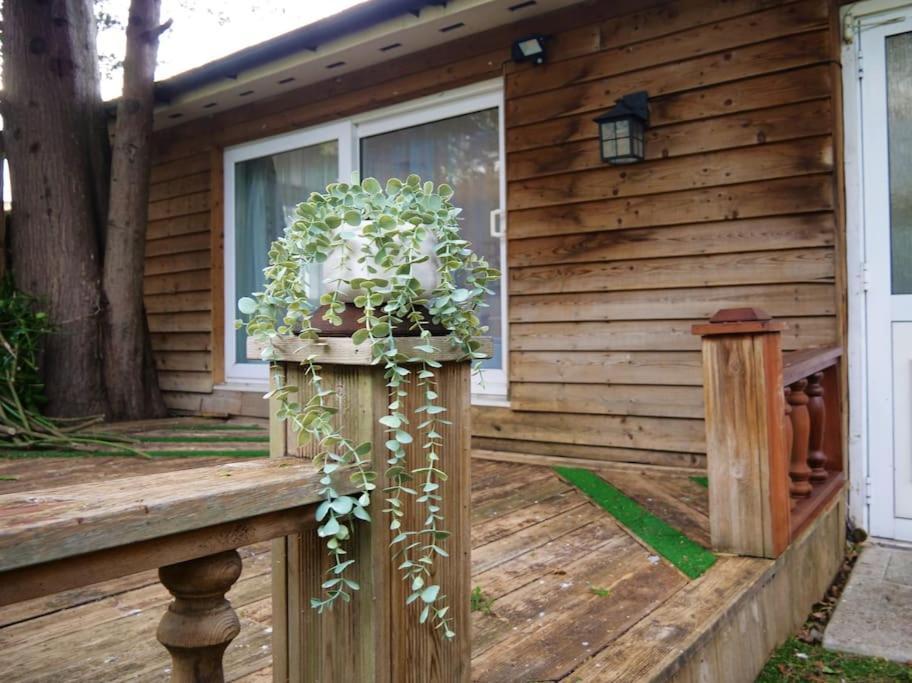 Apartamento Charming Garden Hideaway! *