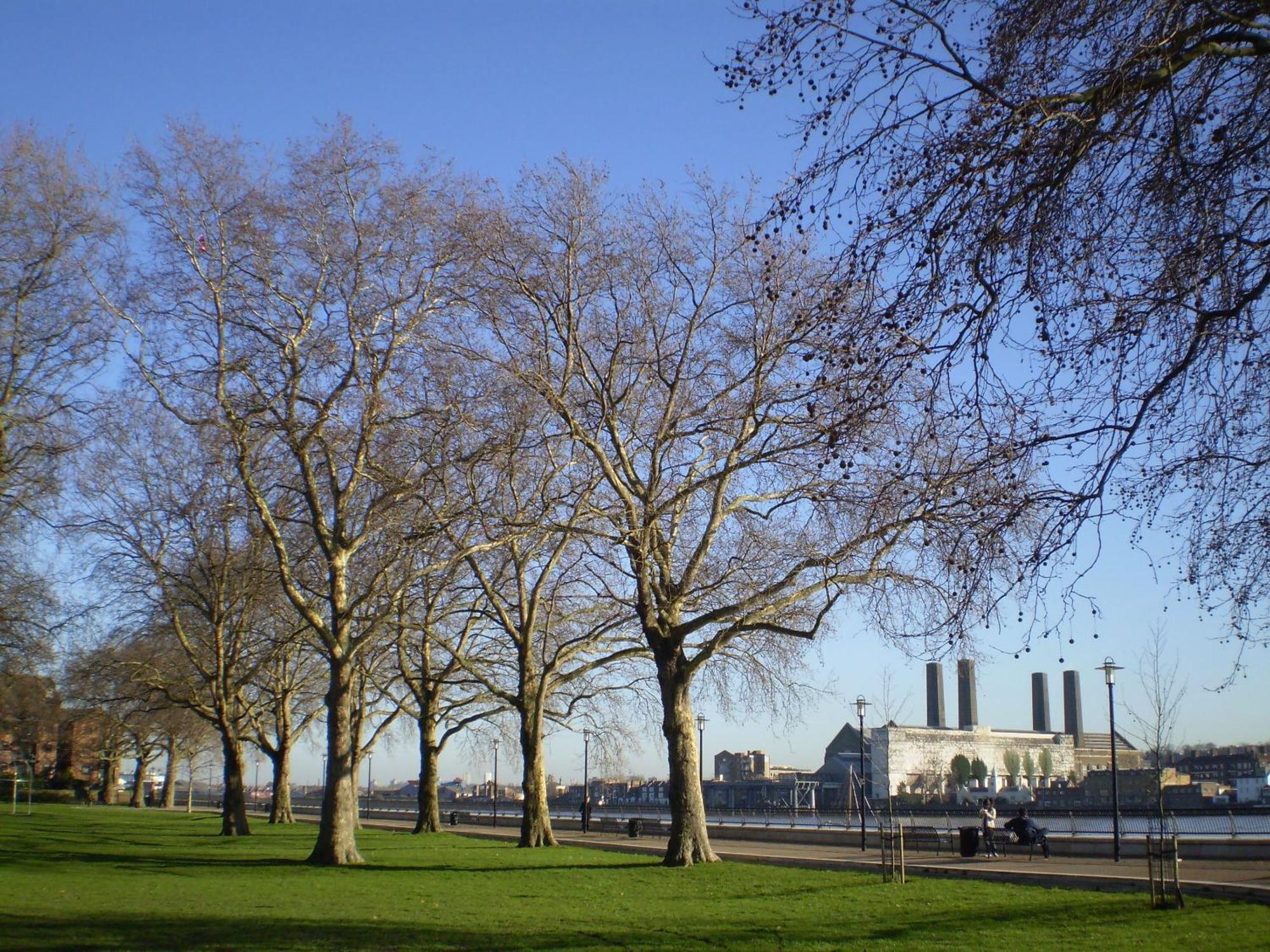 Casa de Férias Bartlett House With Terrace Near Greenwich Londres