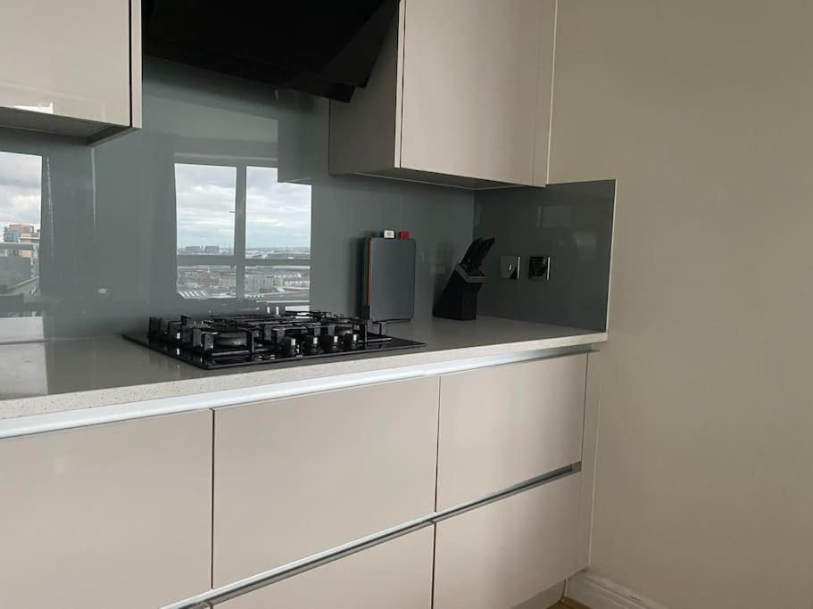 2 Bedroom Royal Docks Riverside Appartement Londres