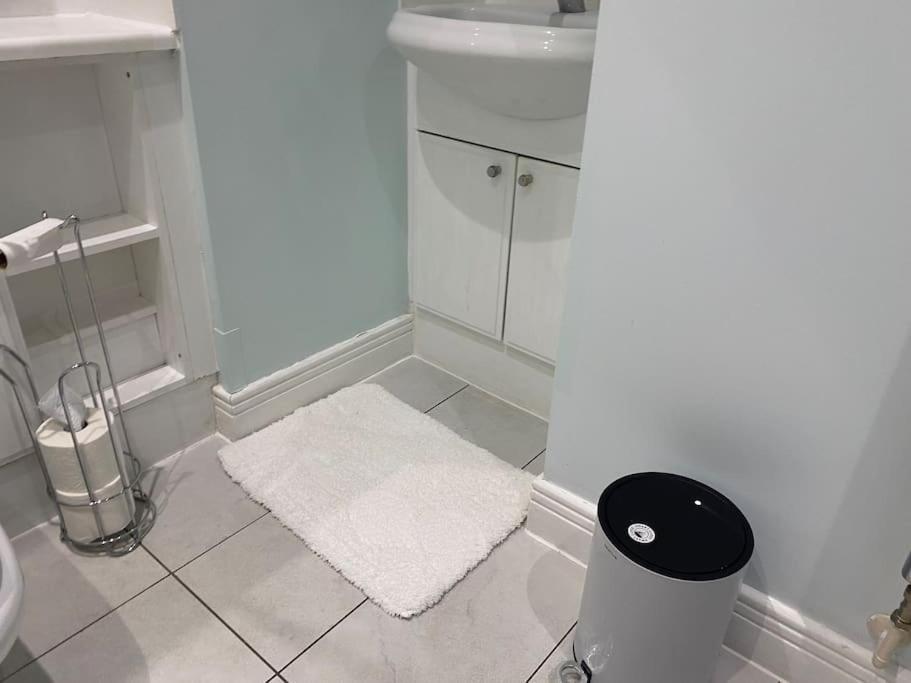Appartement 2 Bedroom Royal Docks Riverside Londres