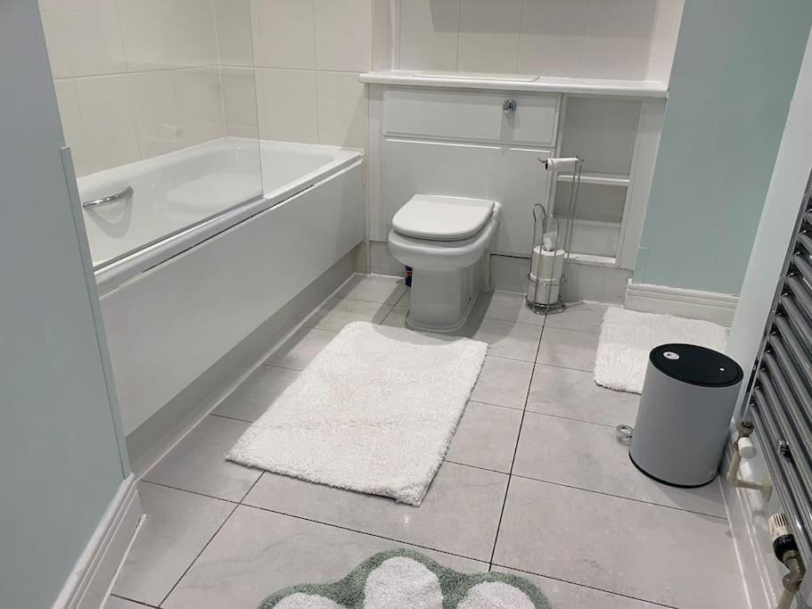 2 Bedroom Royal Docks Riverside * Londres