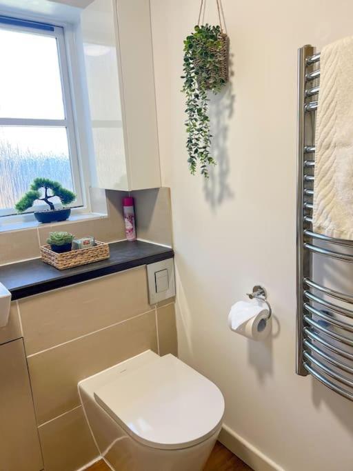 Cosy & Modern Flat In Islington- 15 Minute Walk From Emirates Stadium Appartement Londres