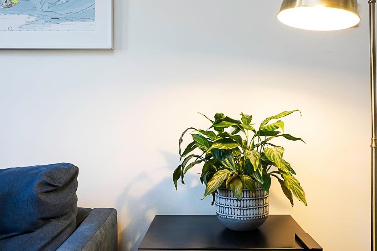 Gorgeous Angel Flat Apartamento *