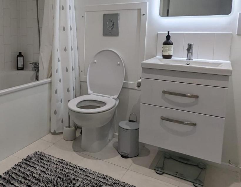 Bright And Spacious Victorian Conversion * Londres