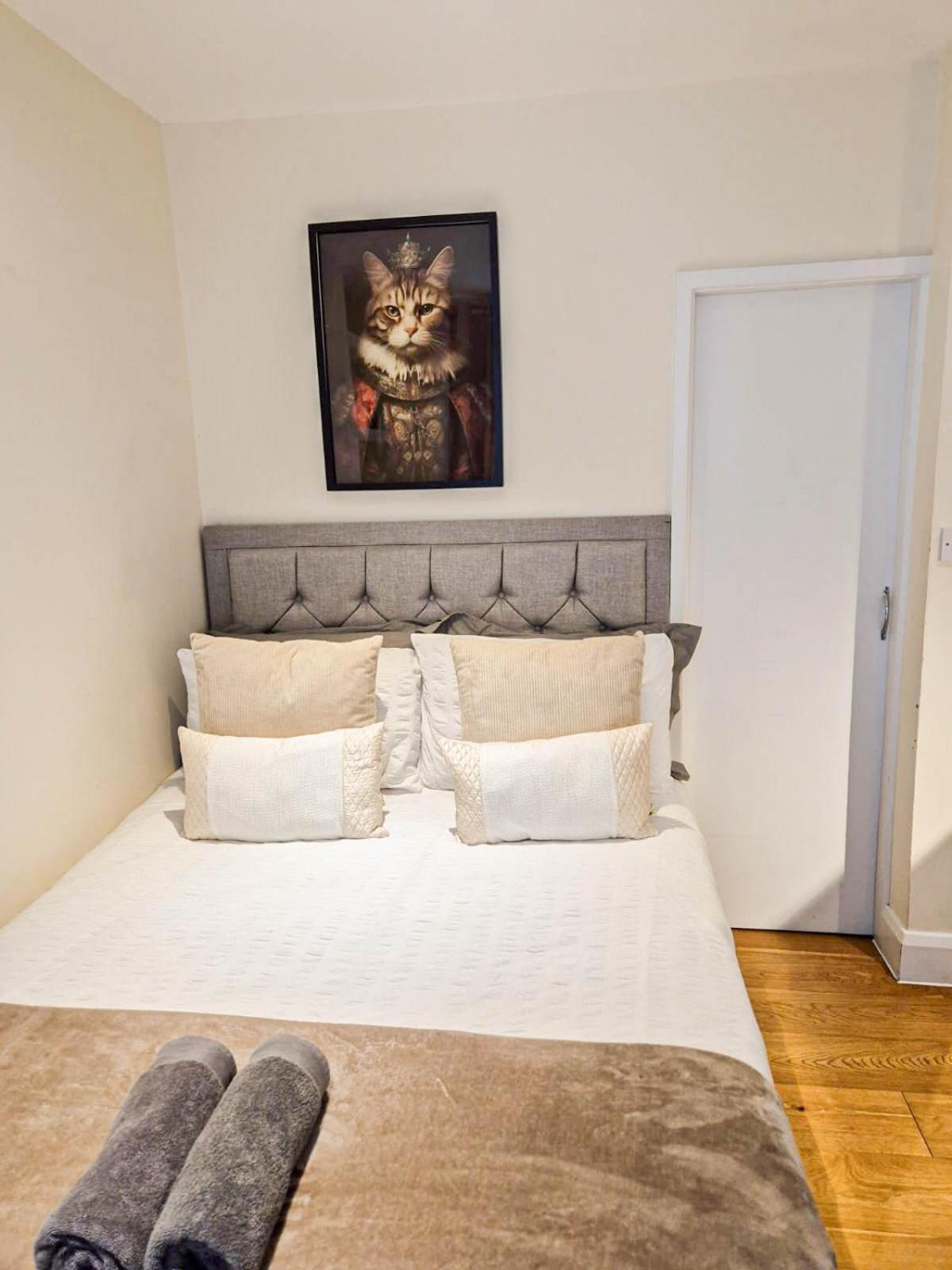 Chic 2-bedroom Flat With Free Wi-fi Few Steps From The Oval * London