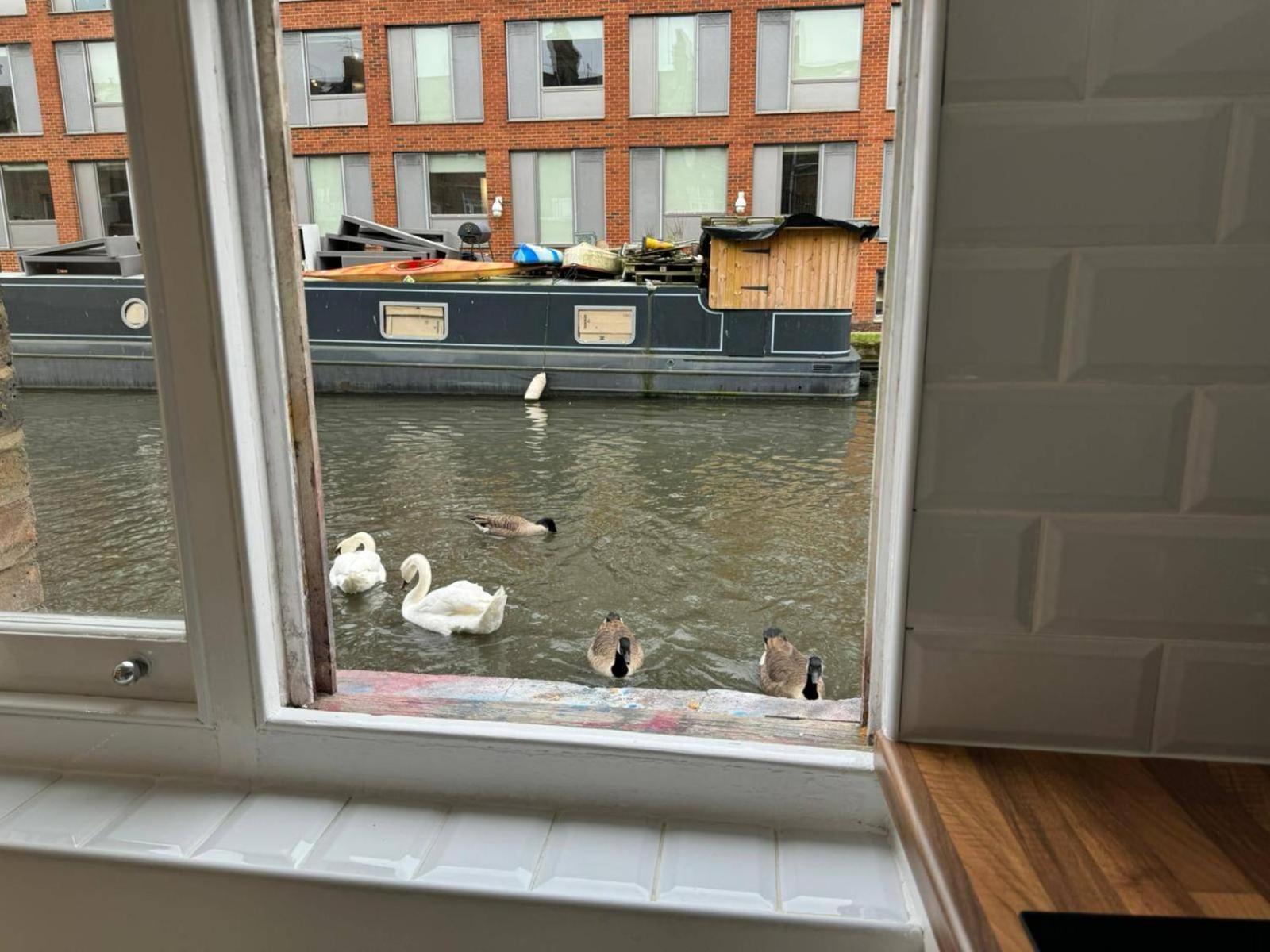 Studio-sleeps3-98ws-petfriendly Apartamento *