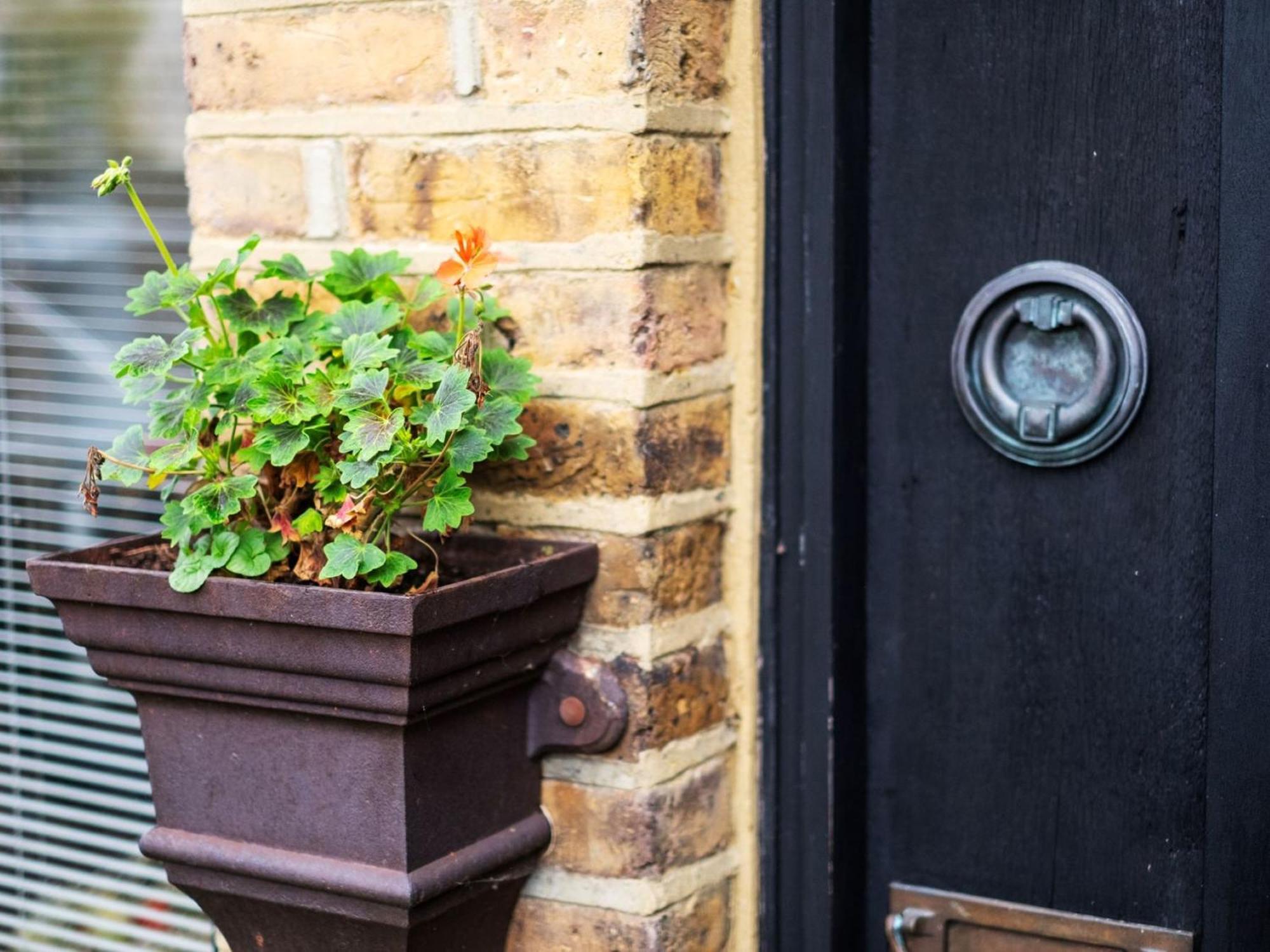 Holly Coach House By Interhome Appartement