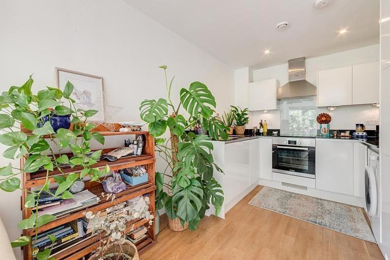 Cozy Bright By Canonbury And Newington N1 Appartement