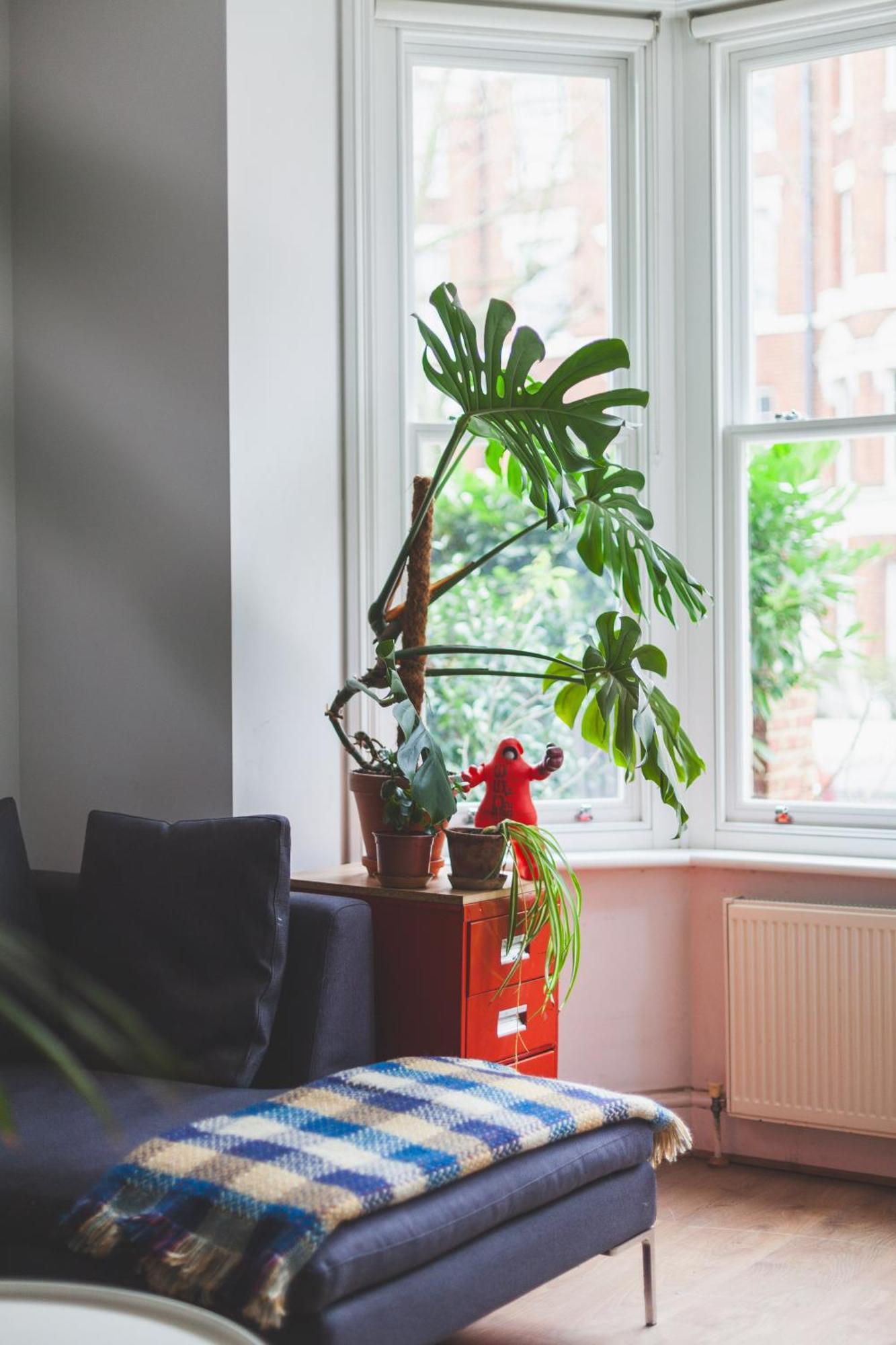 Lovely 1br Flat In Victorian Mansion In Battersea Appartement *