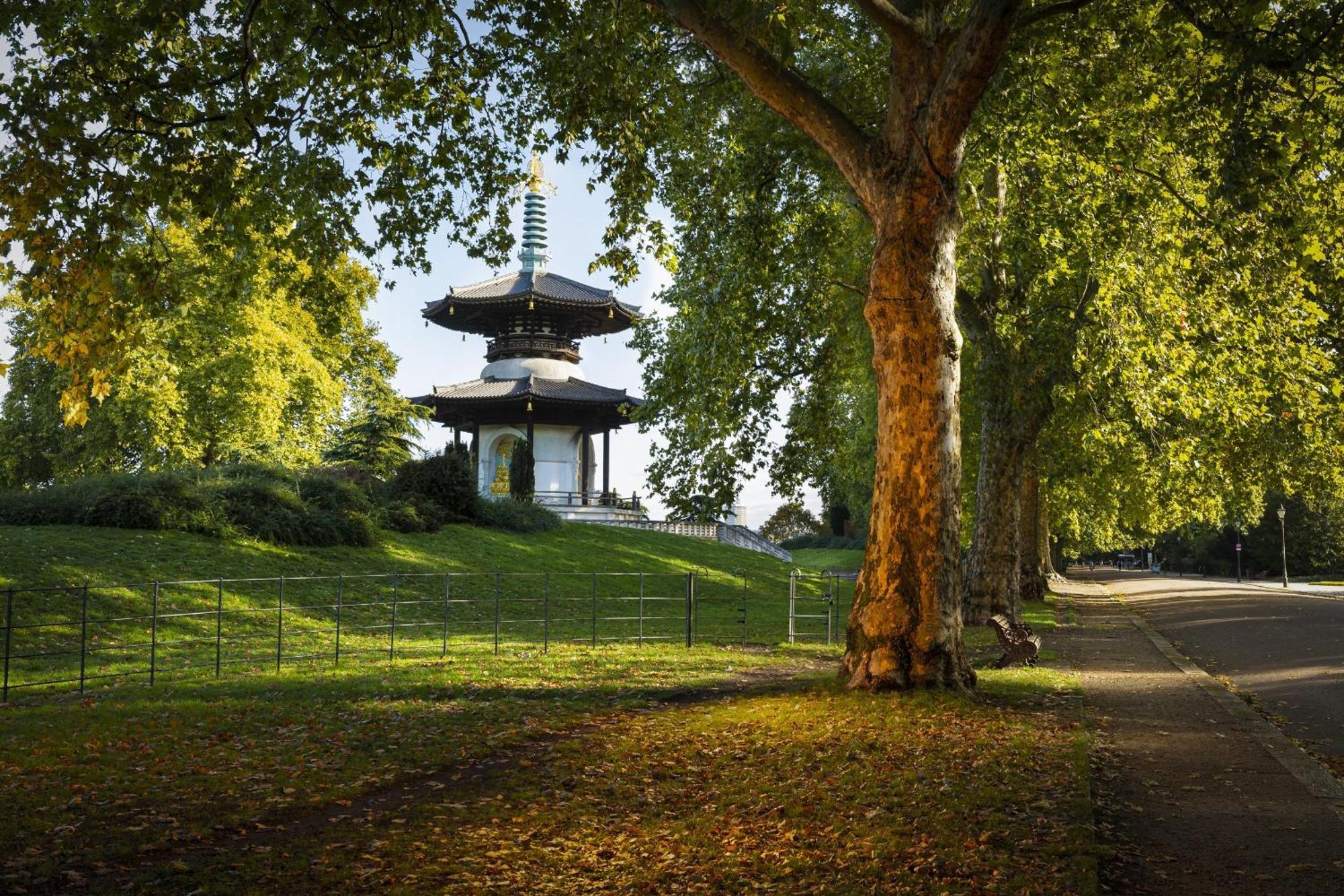 Lovely 1br Flat In Victorian Mansion In Battersea Appartement *