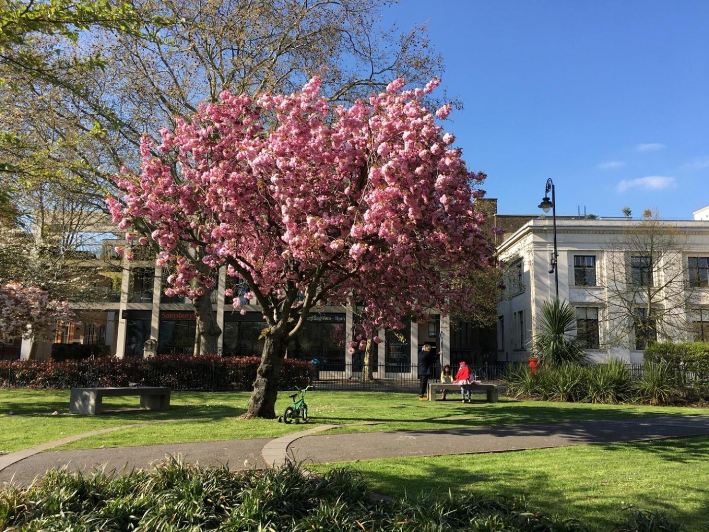 Modern 3-bed Flat In Bermondsey * Londres
