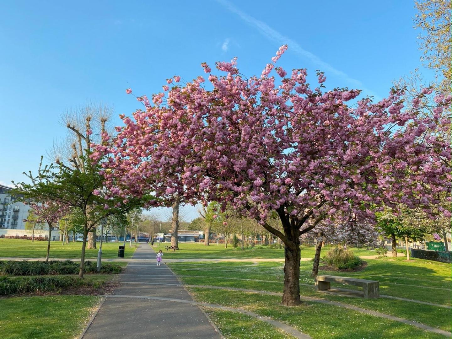 Modern 3-bed Flat In Bermondsey *