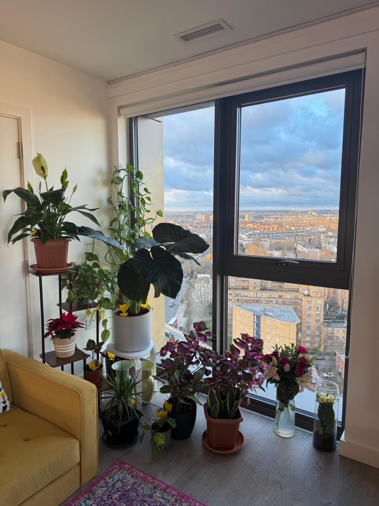 Paddington Appartement *