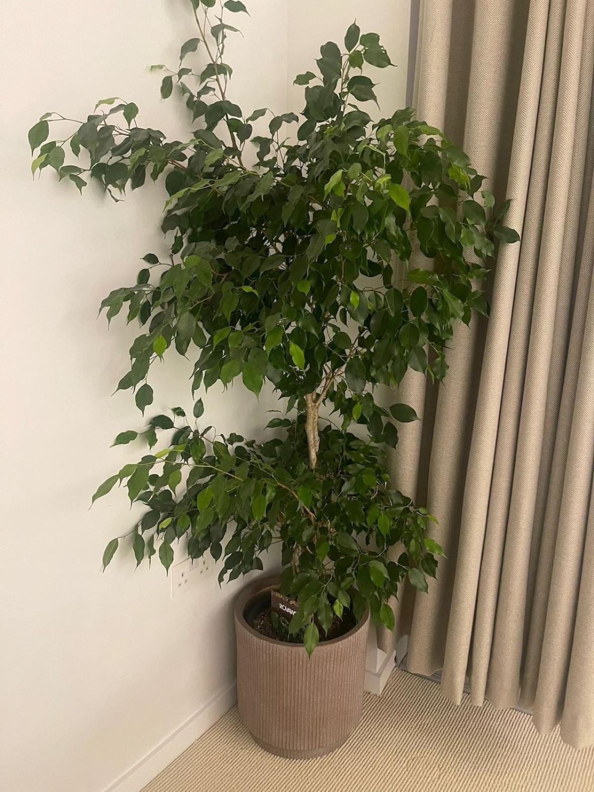 Luxury 1 Bedroom In Apartamento