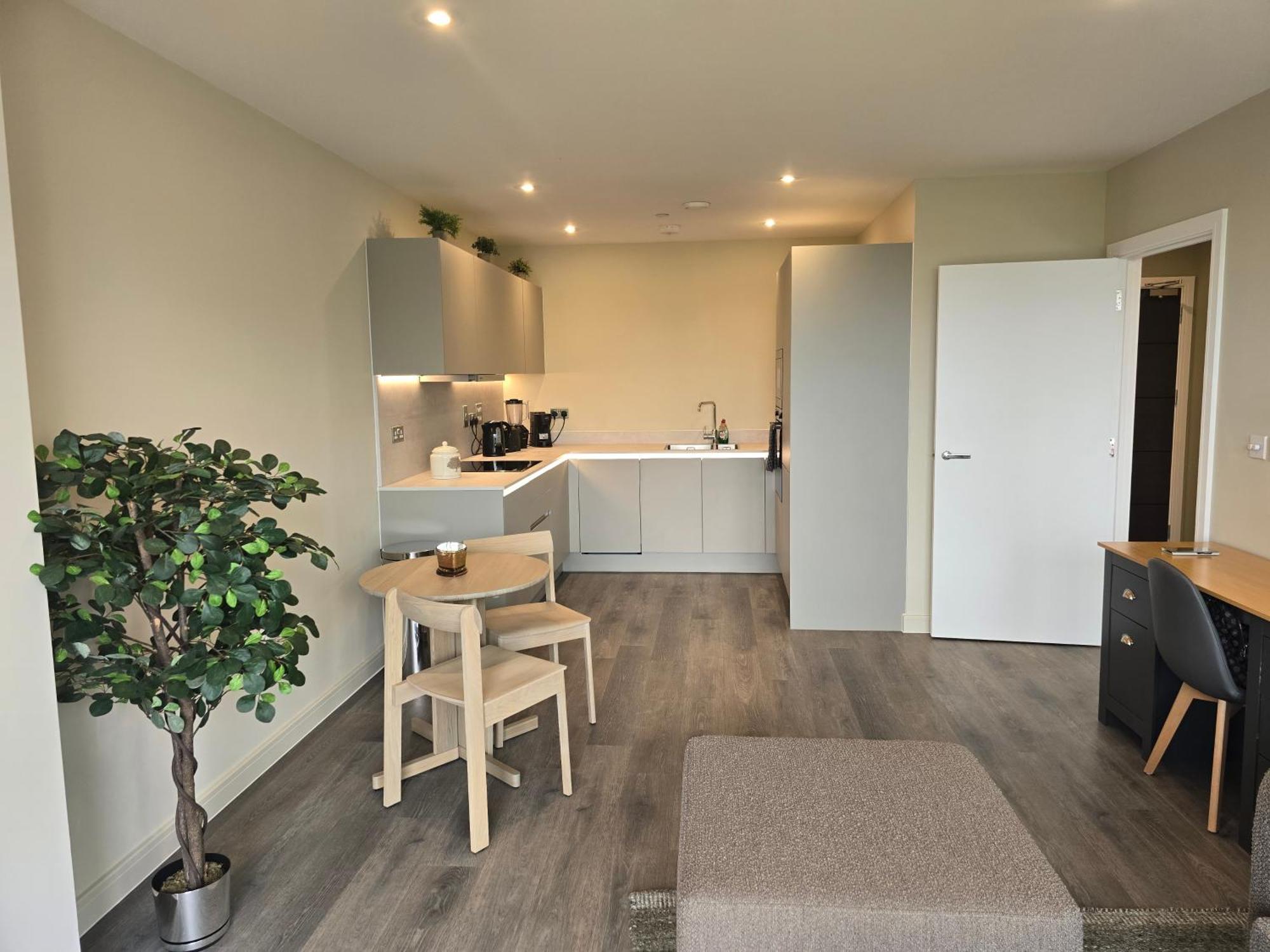 Luxury One Bedroom Flat With Balcony Appartement