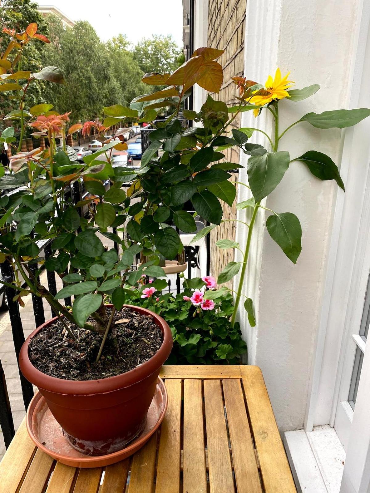 Cosy And Stylish With Balcony * Londres