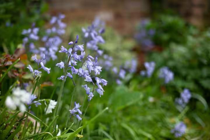 Bed and breakfast Self Contained Garden Londres