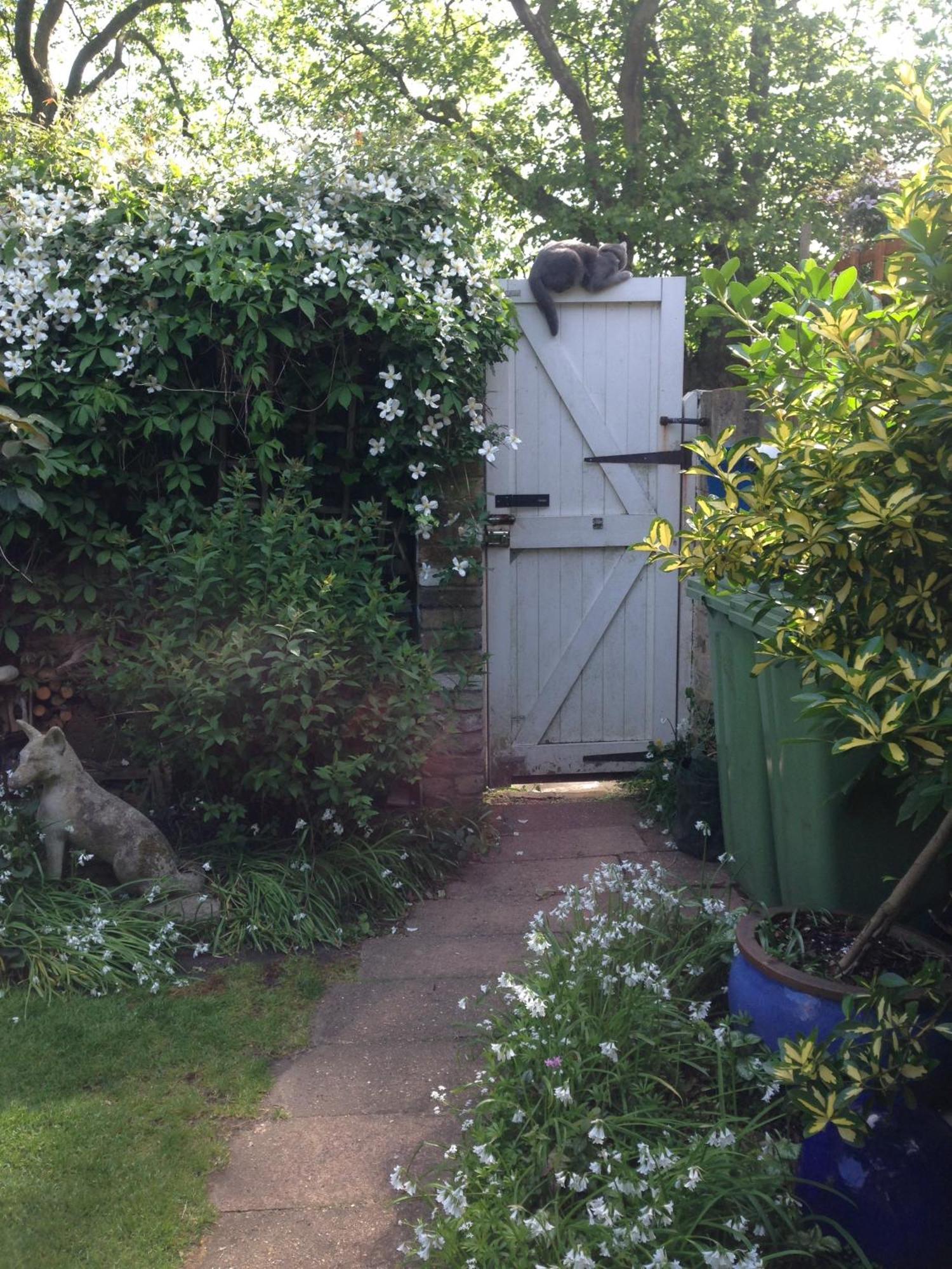Bed and breakfast Self Contained Garden *