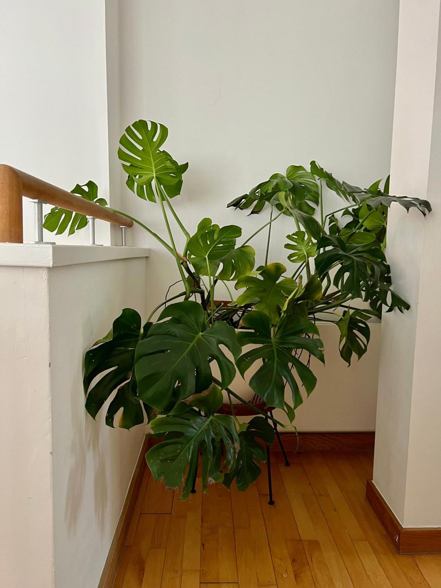 Huge For Recharge And Relaxation In Loft With Sauna In Londres