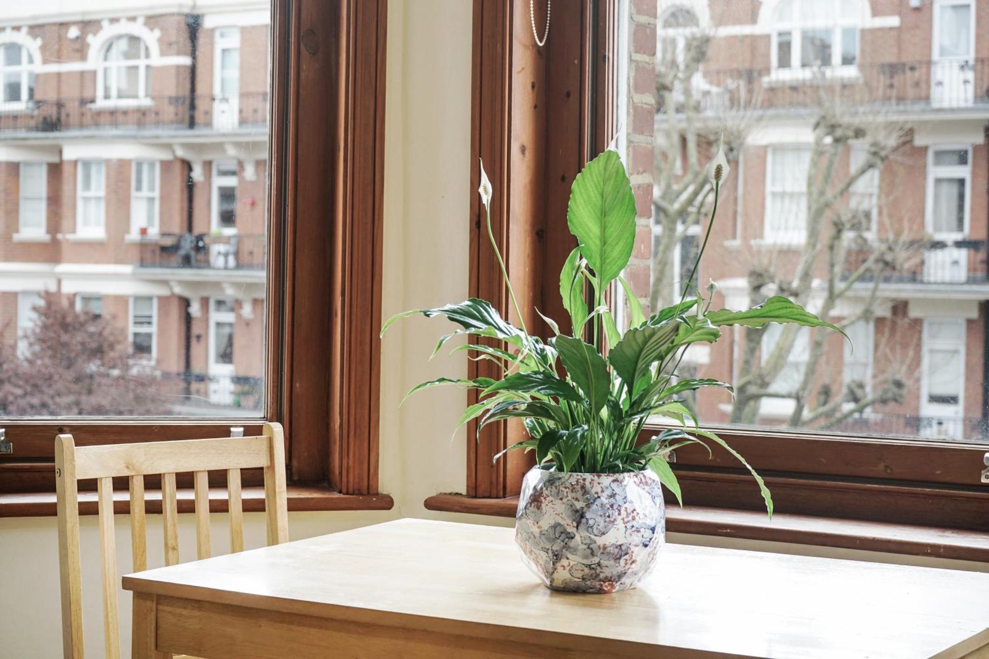 Accommodatie bij particulieren Elgin Avenue Hububb