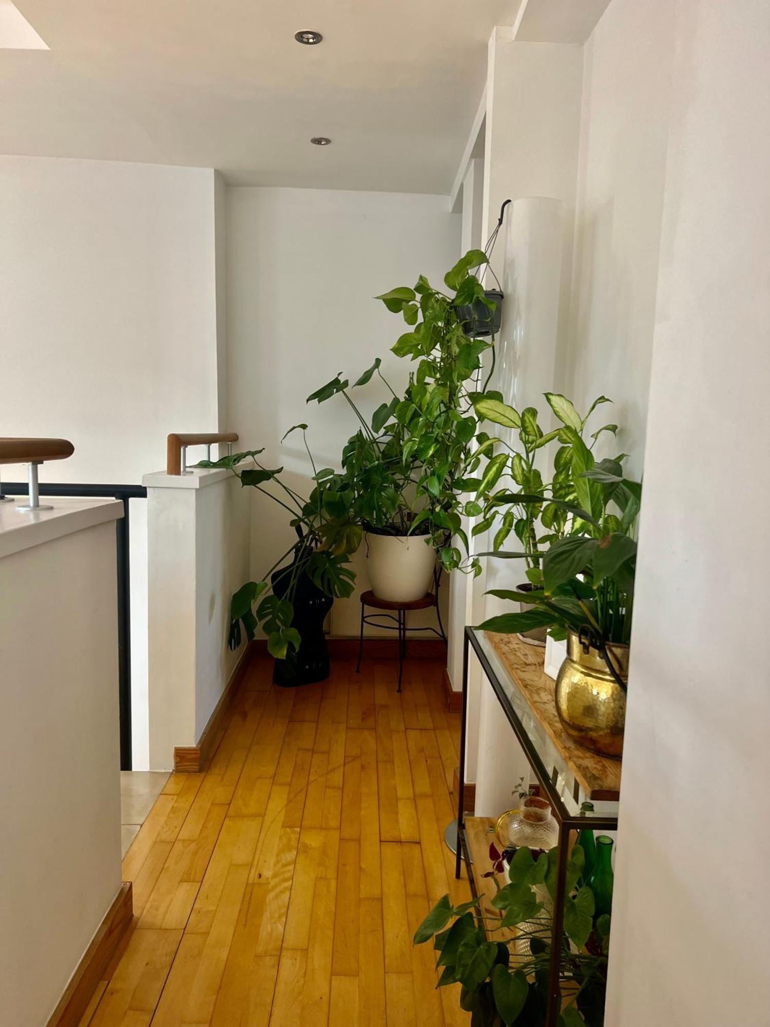 Casa de hóspedes Huge For Recharge And Relaxation In Loft With Sauna In Londres