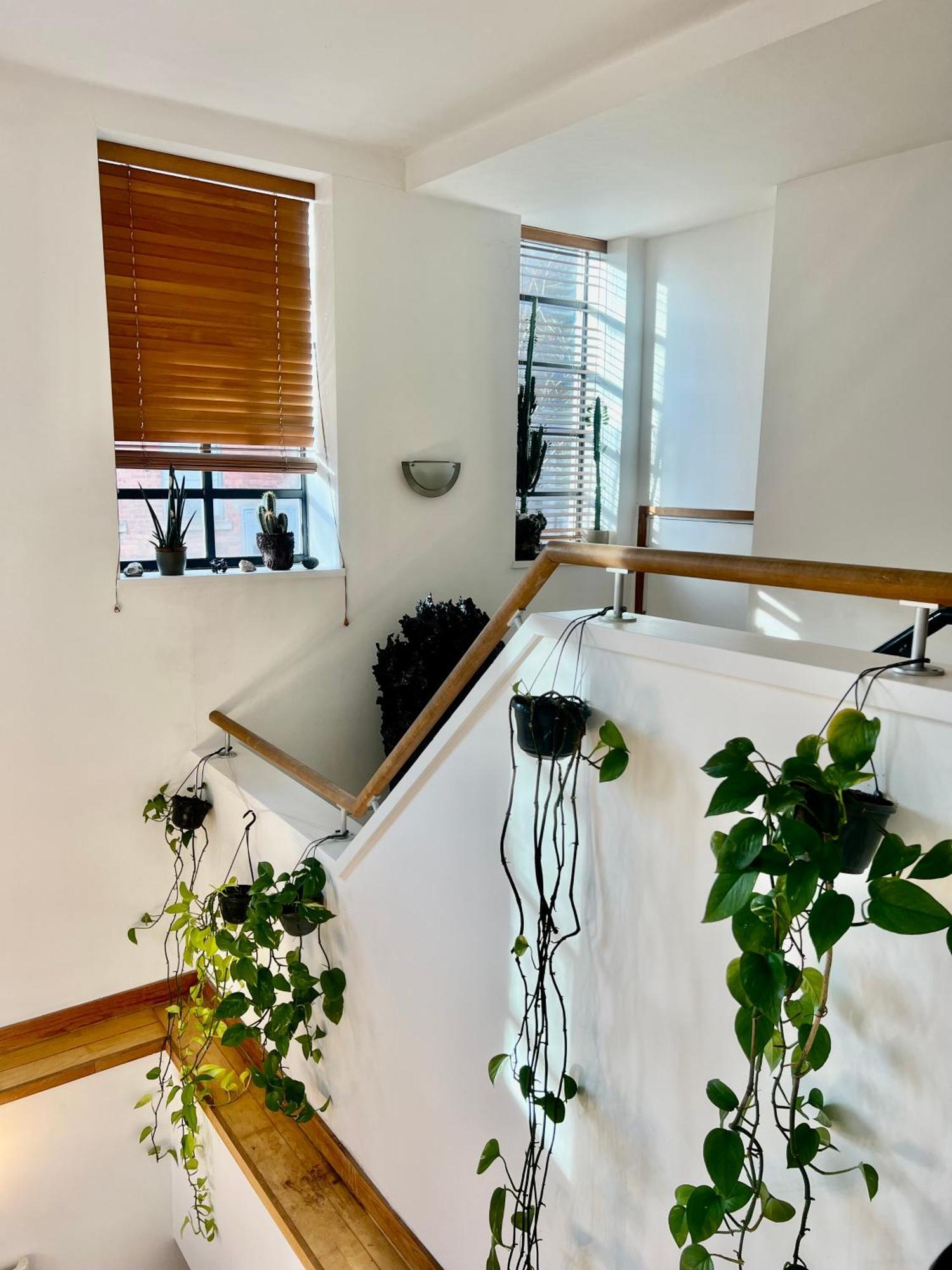 Casa de hóspedes Huge For Recharge And Relaxation In Loft With Sauna In *
