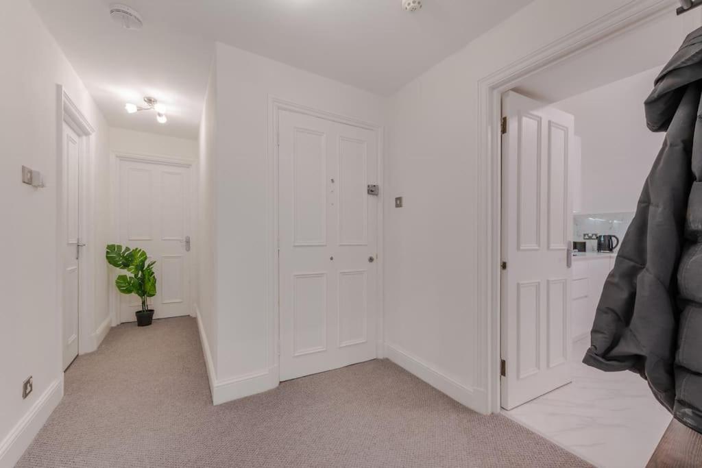 Elegant 1 Bedroom Lower Ground On Harley Street 1h Appartement
