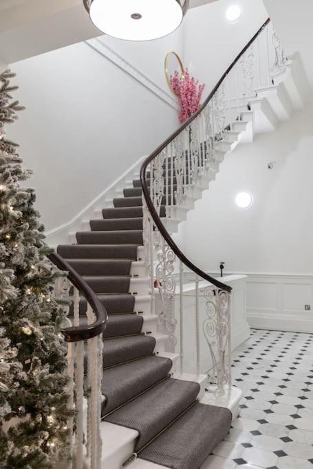 Elegant 1 Bedroom Lower Ground On Harley Street 1h Appartement *