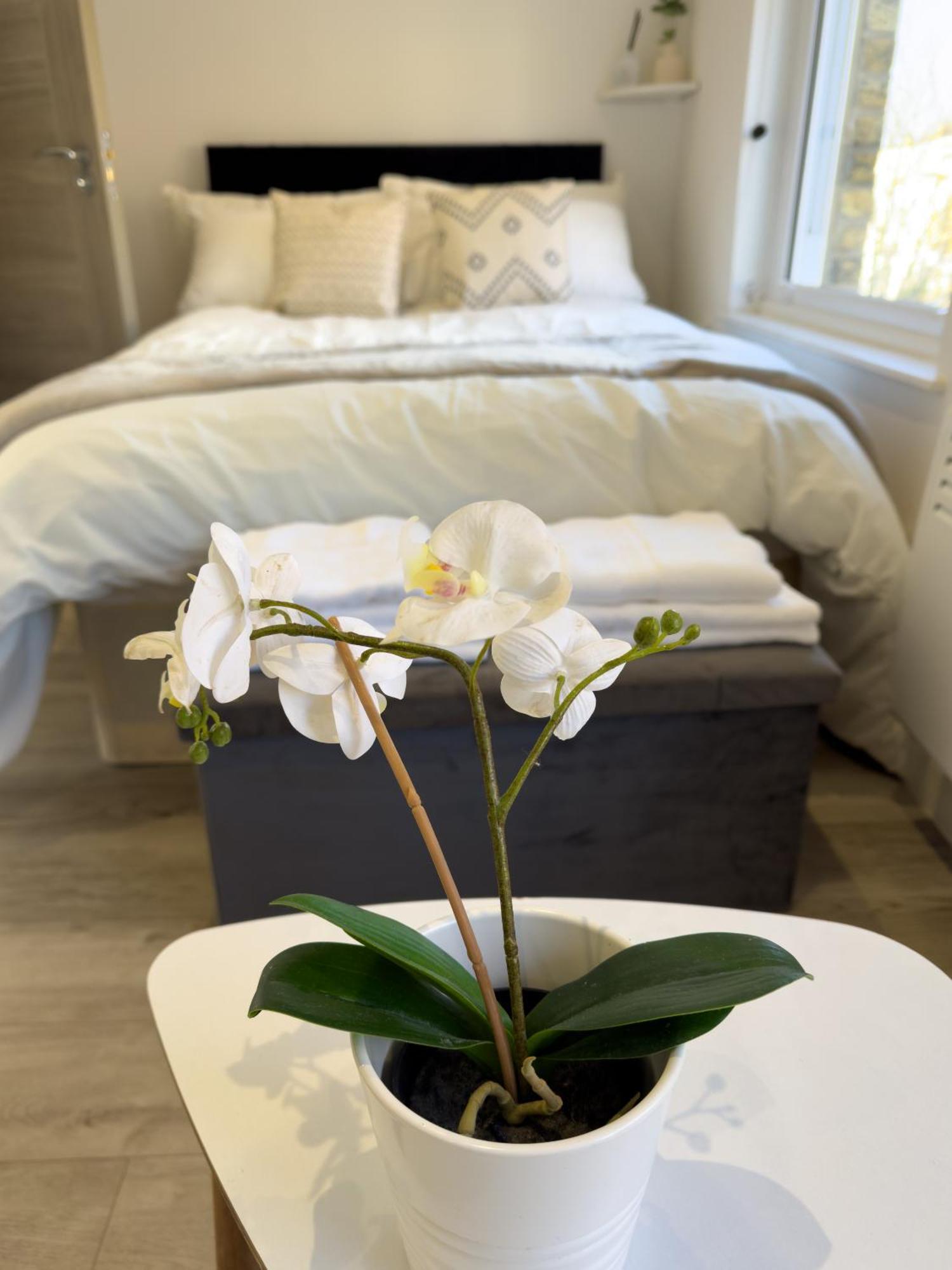 Flat 20 Min From Center Appartement