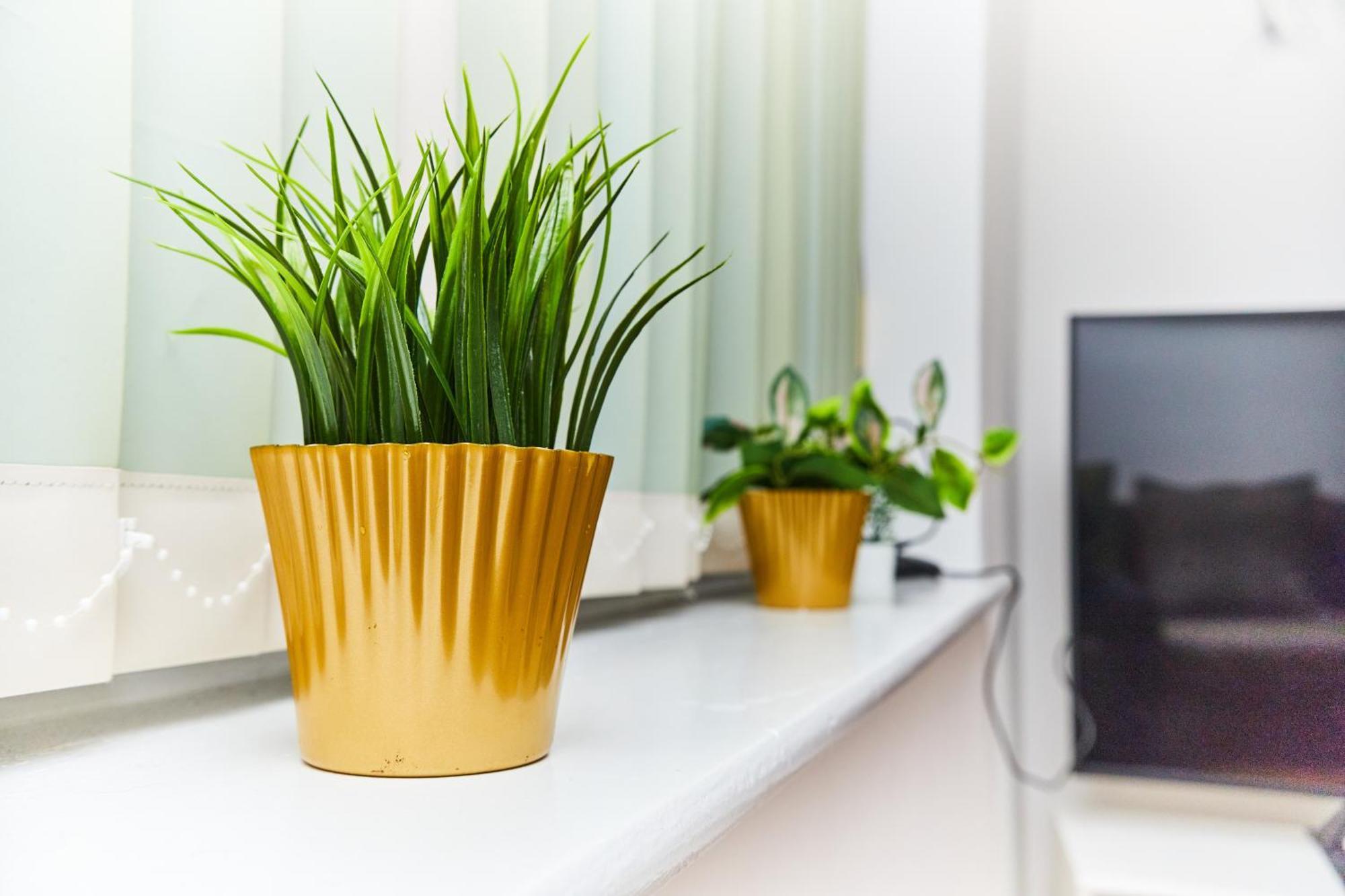 Apartamento Emerald A Star Proximity *