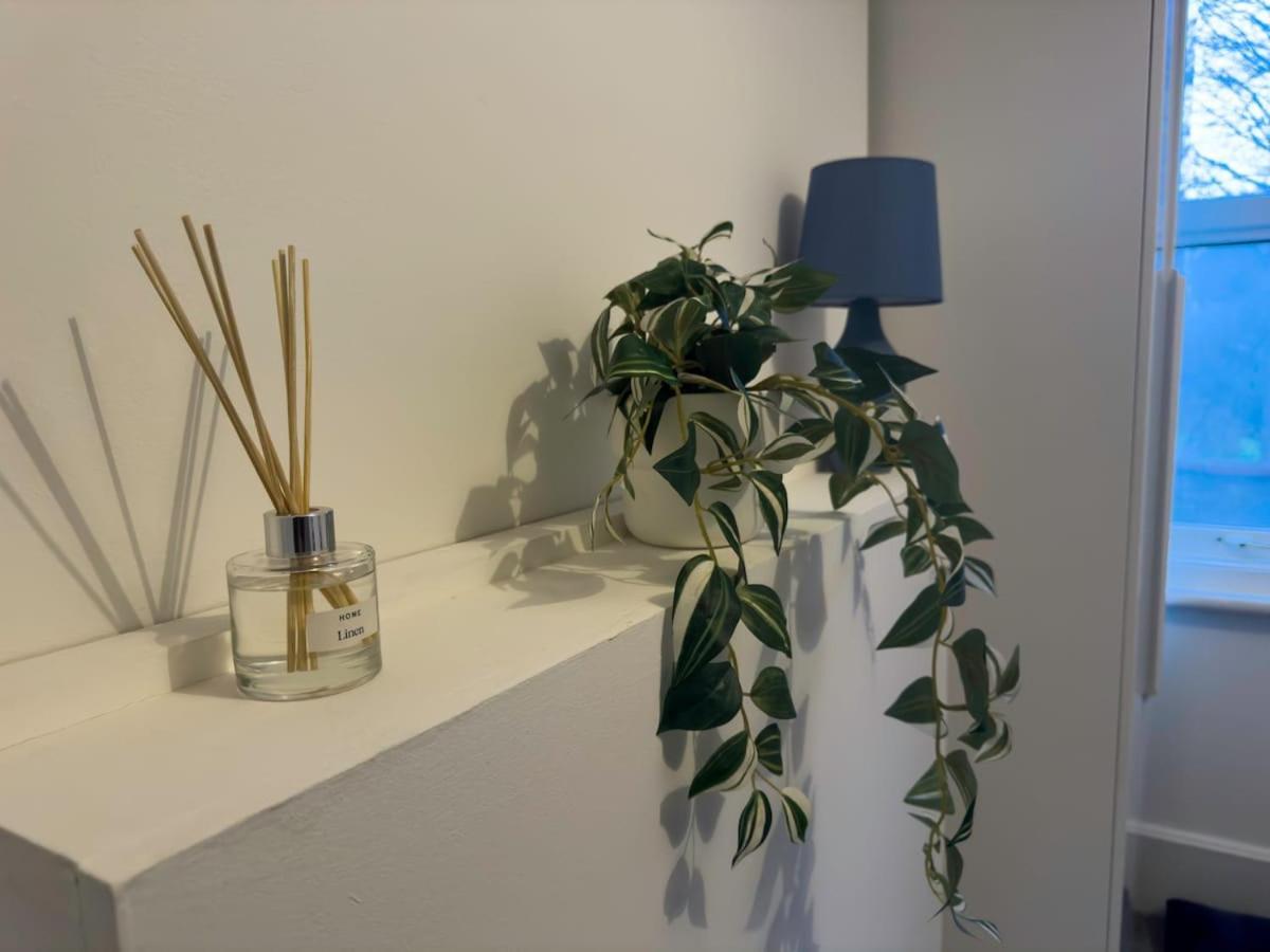 Spacious 3 Bed Apartment, 10 Mins From Wembley Stadium With Private Garden Appartement Londres
