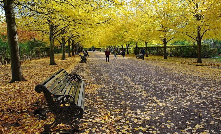 Londwell, Regents Park & Abbey Road Luxury Londres