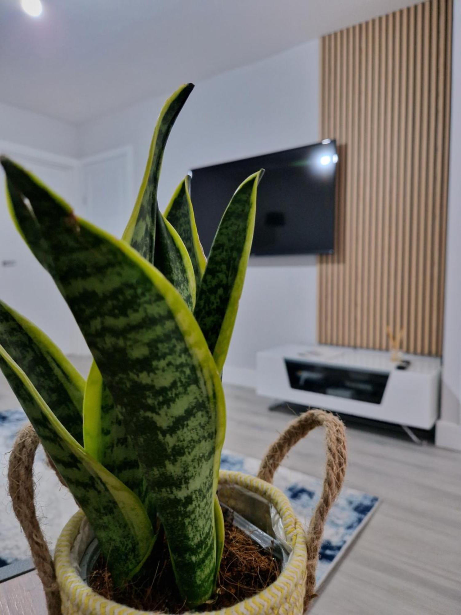 Stylish 2 Bed Home- Short Walk To Tottenham Stadium/stations Casa de Férias