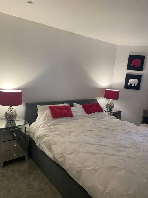 Lovely And Spacious Wimbledon Flat Londres