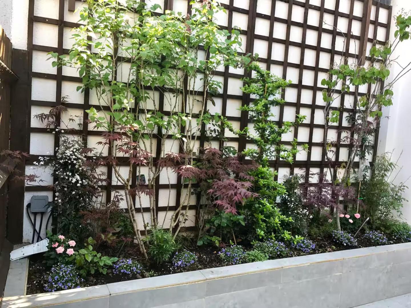 Pass The Keys - King's Cross Modern Flat With Sunny Garden Appartement