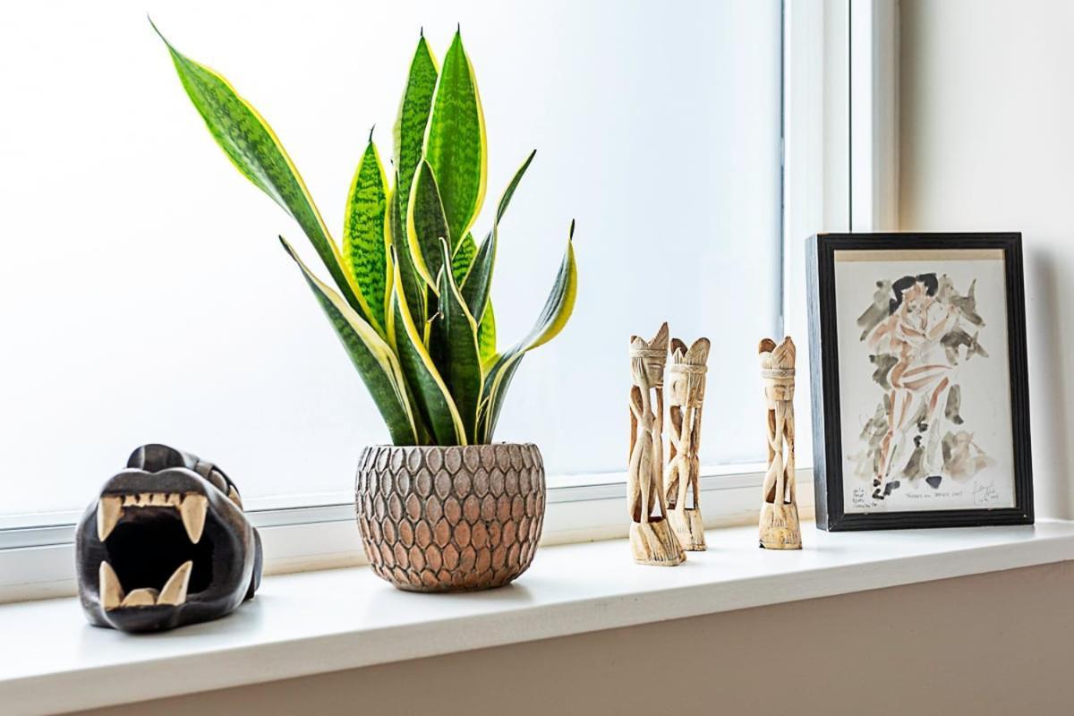 Well-decorated Notting Hill Flat * Londres