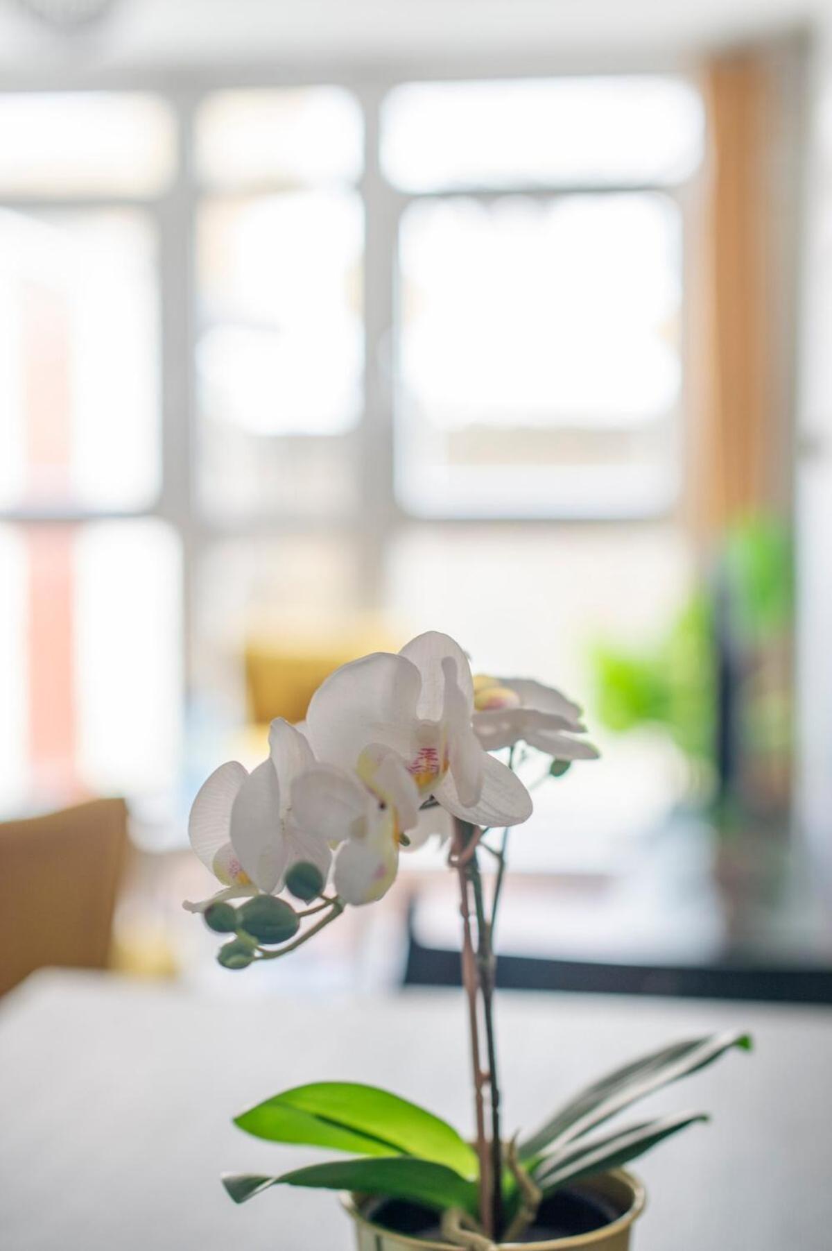 Apartamento Lovely 2-bed 20 Mins To