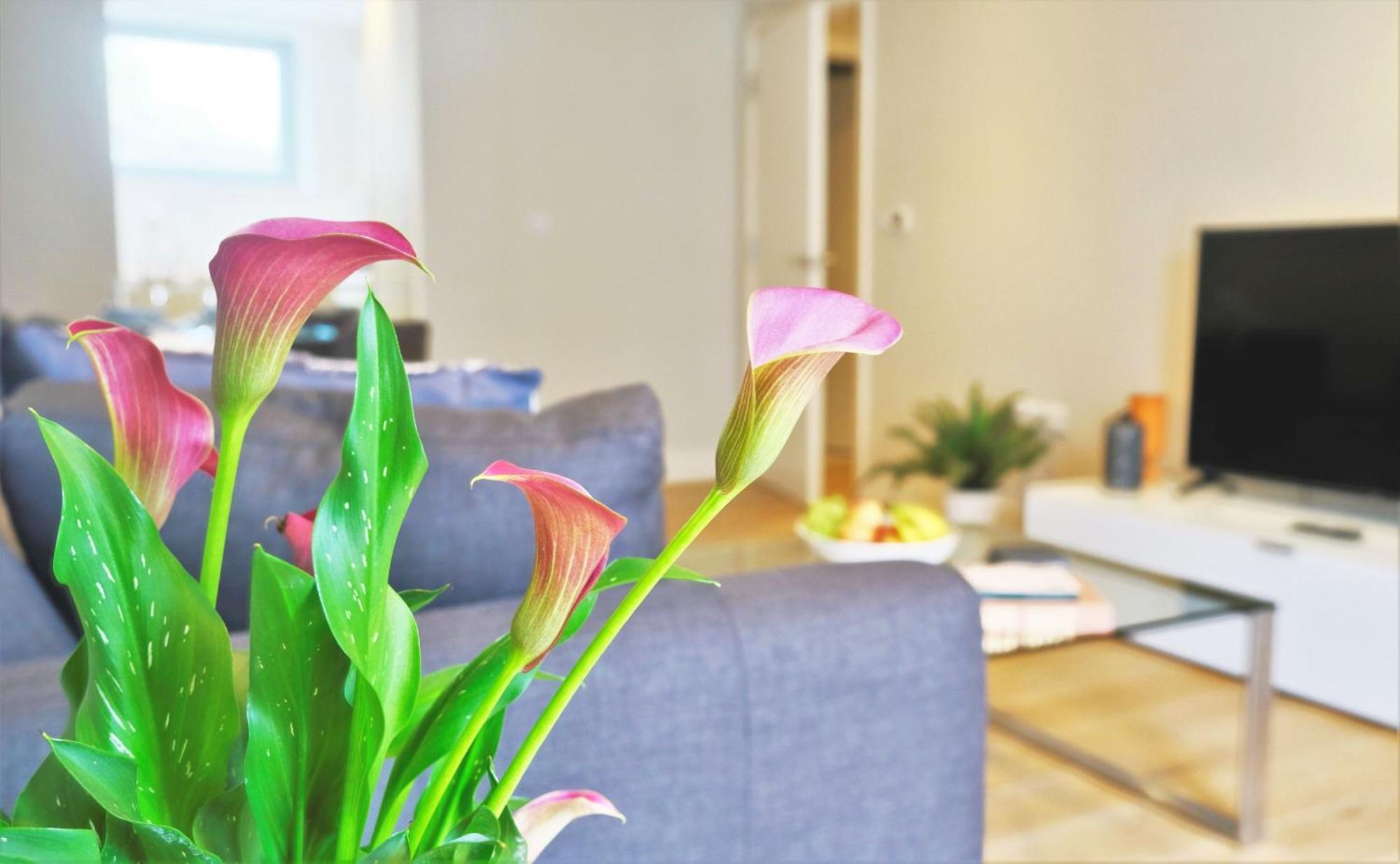 Spacious & Elegant In Southbank Near Eye Apartamento