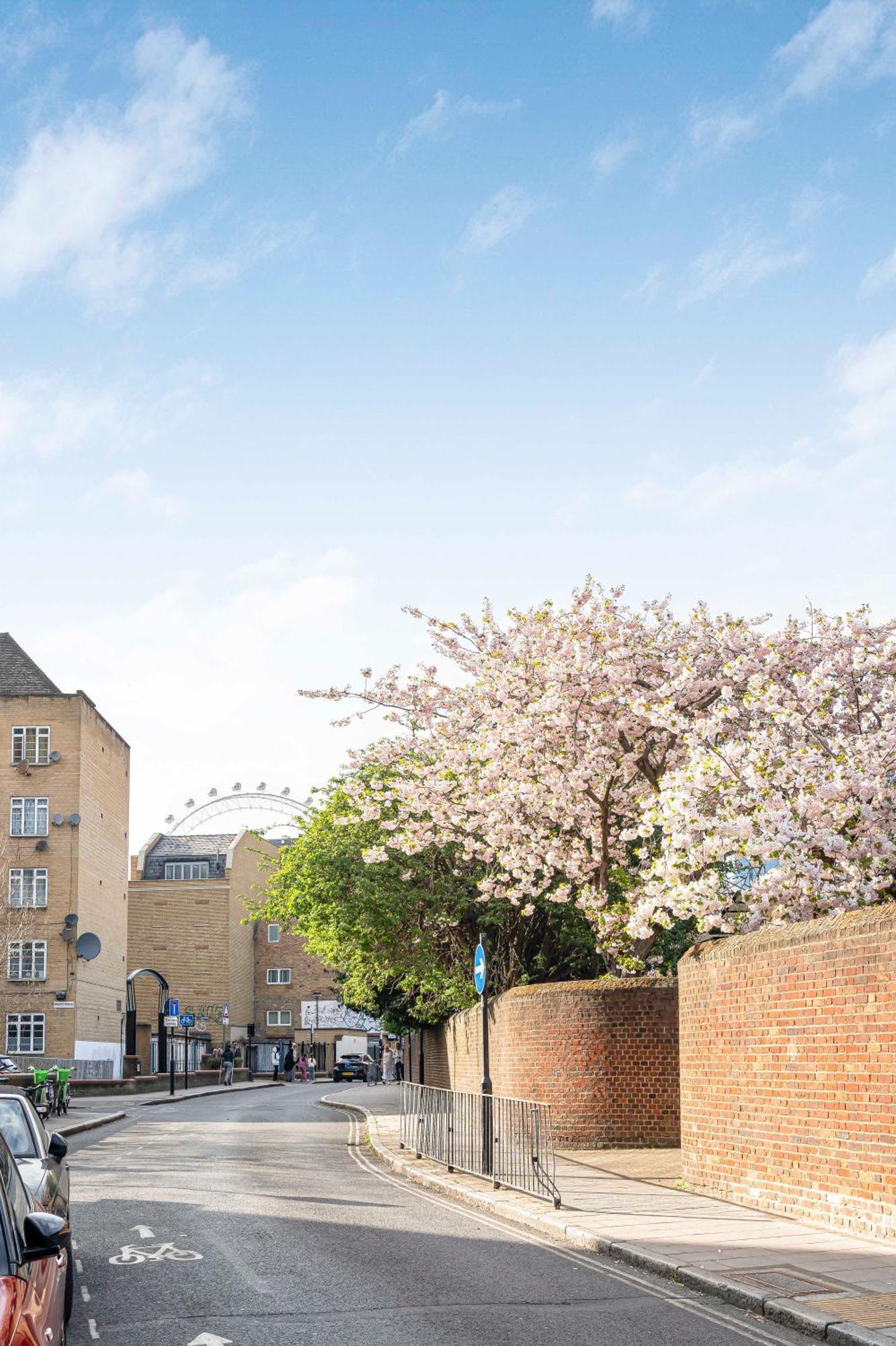 Appartement Gem In Waterloo,