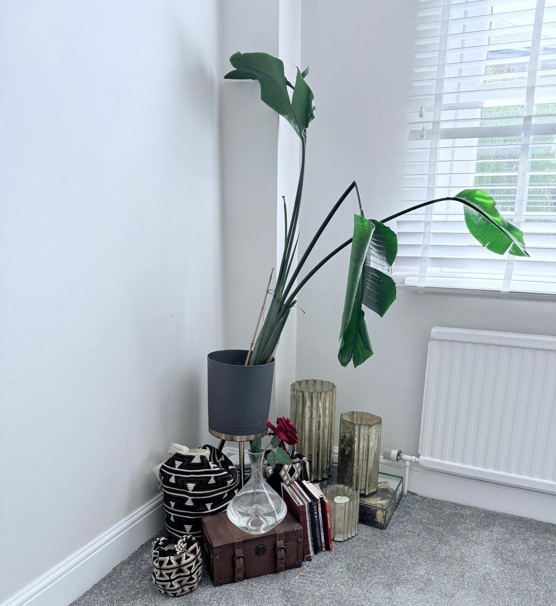 Bright And Modern Flat Near Portobello Road And The Canal Appartement