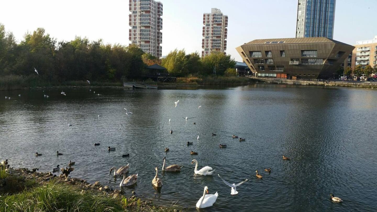 Chic 2-bedroom In Canada Water, - Stylish Retreat Near The River Thames Appartement Londres