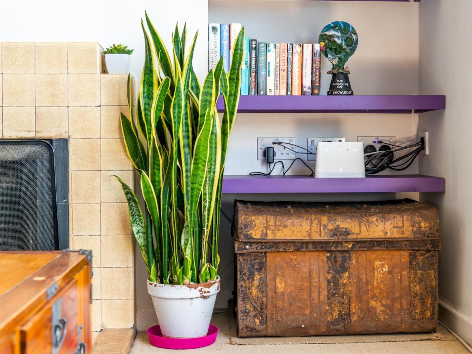 Pass The Keys Cozy 4-bed With Garden In Trendy Stoke Newington Londres