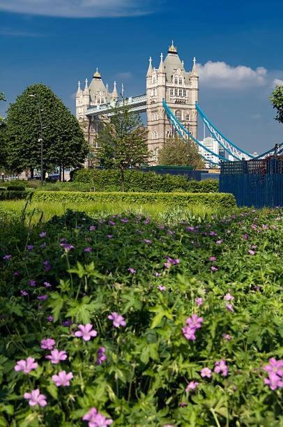 Appartement Luxury 1 Bed Tower Bridge *