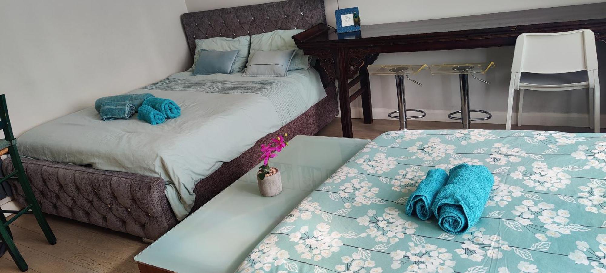 Appartement With Jacuzzi Bath, Ground Floor, Excellent Transport Connections *