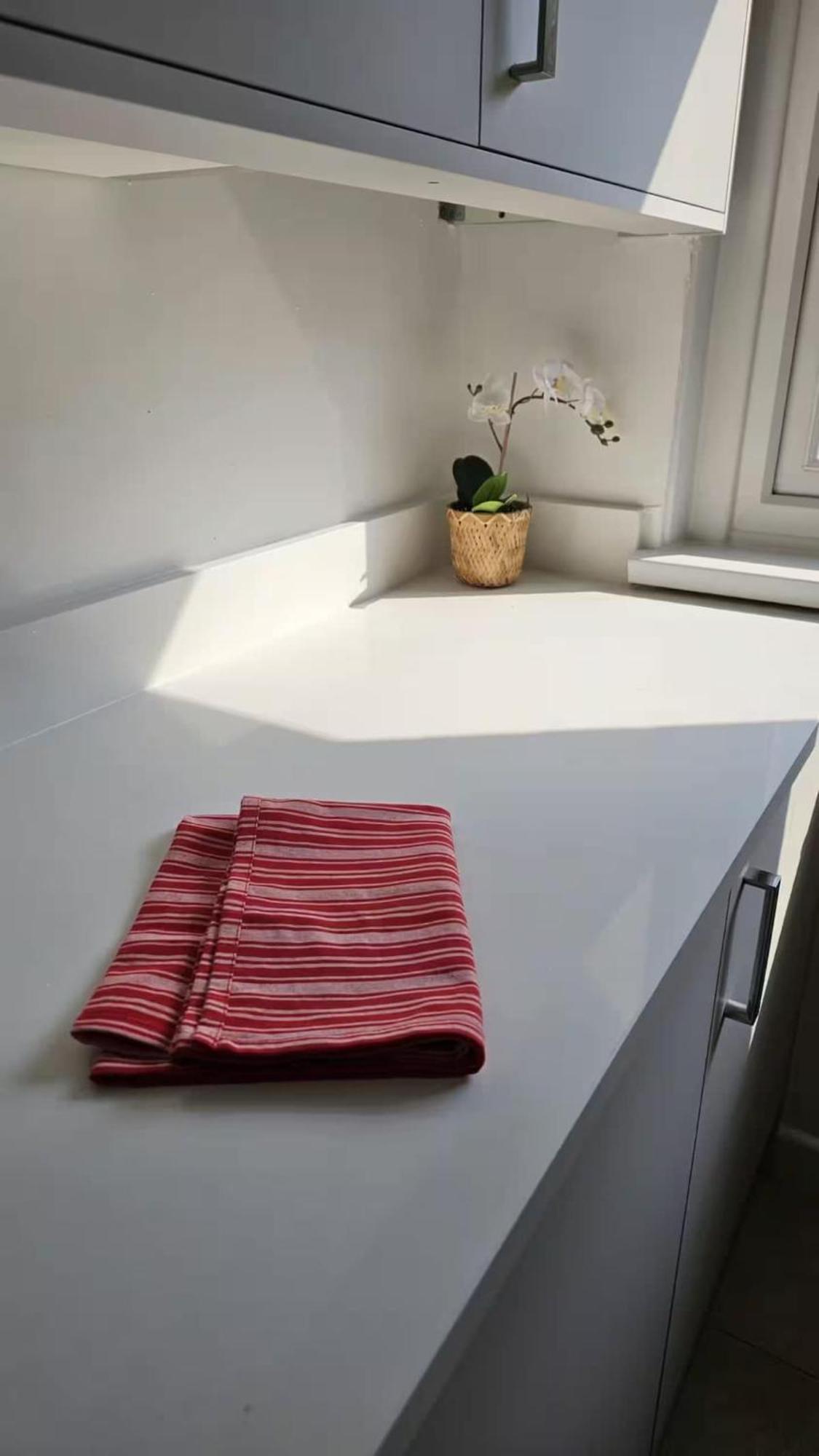 Your Comfy Nest Appartement
