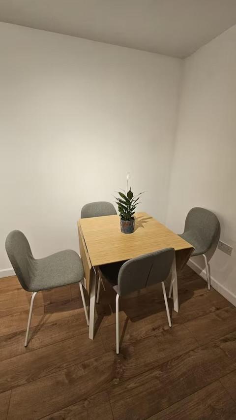 Your Comfy Nest Appartement